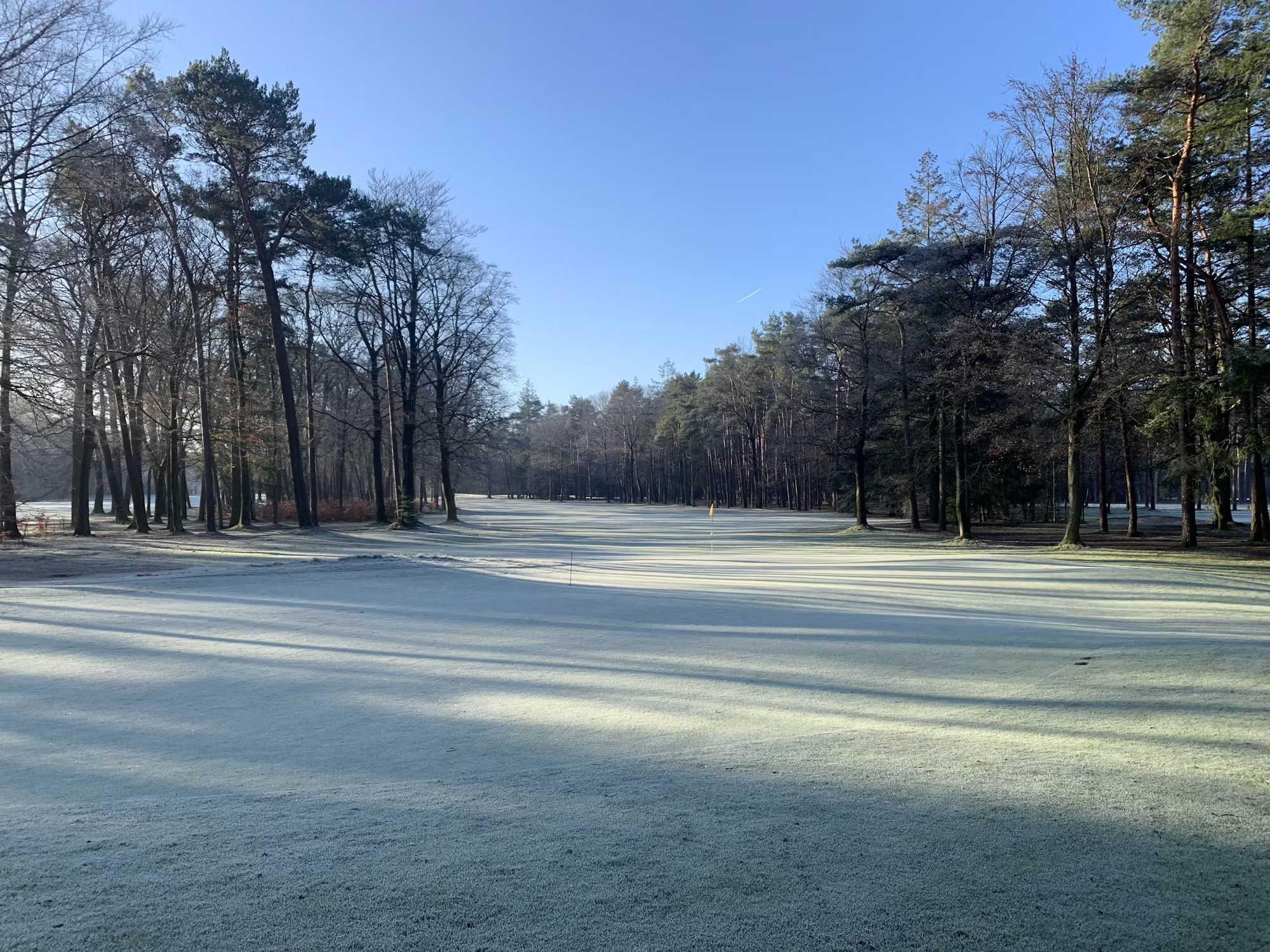 Exploring the Evolution of Golf: From Origins to Modern Play