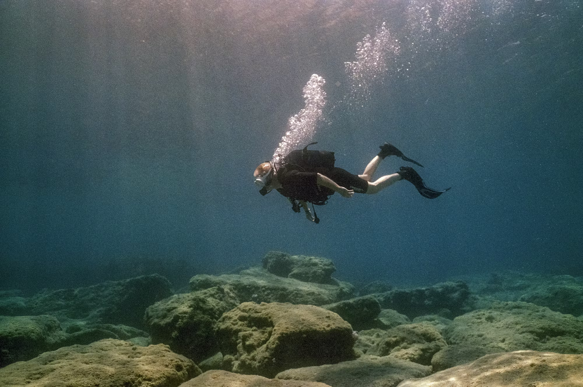 Dive into Adventure: Discovering the Many Faces of Diving